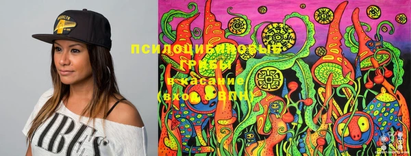 метамфетамин Горнозаводск