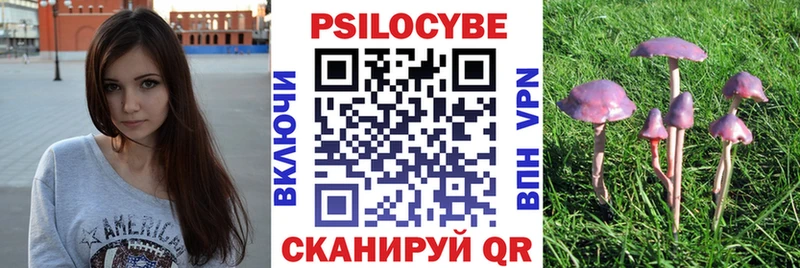 Купить закладки  Канаш  Псилоцибиновые грибы Magic Shrooms 
