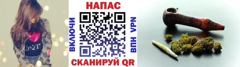 Шишки марихуана семена  Купить закладки  Канаш 